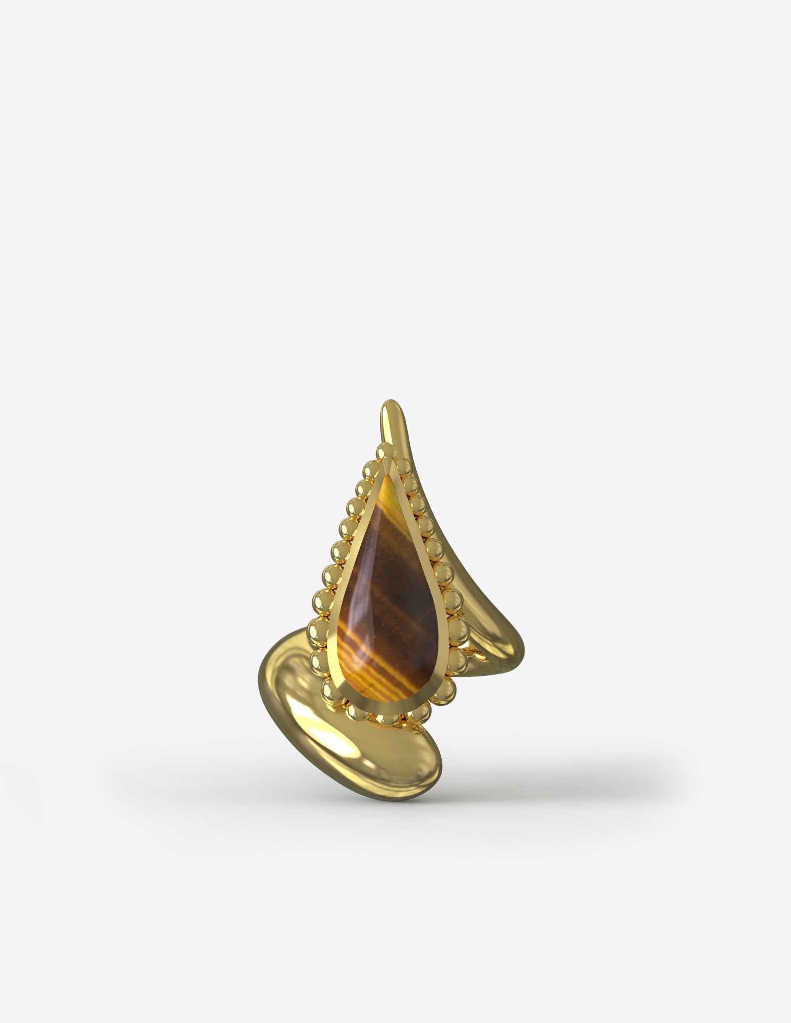 Compass Ring in Polished Gold Vermeil with Tiger Eye